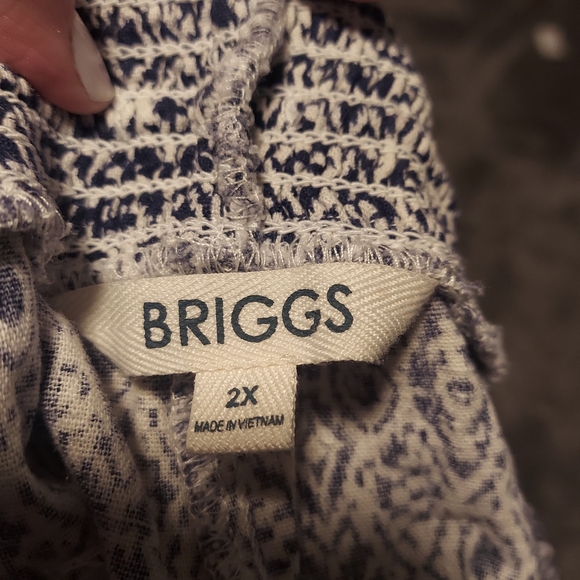 Briggs New York Blue and White stretchy Shorts 2x - Picture 2 of 5